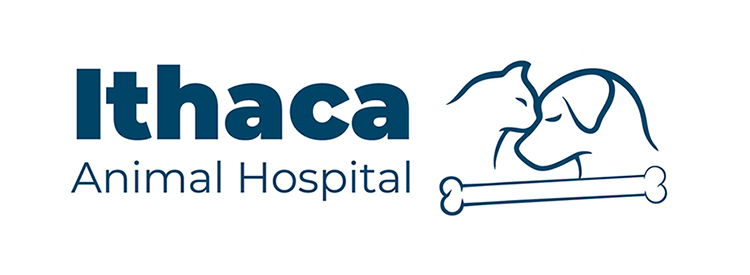Ithaca Animal Hospital