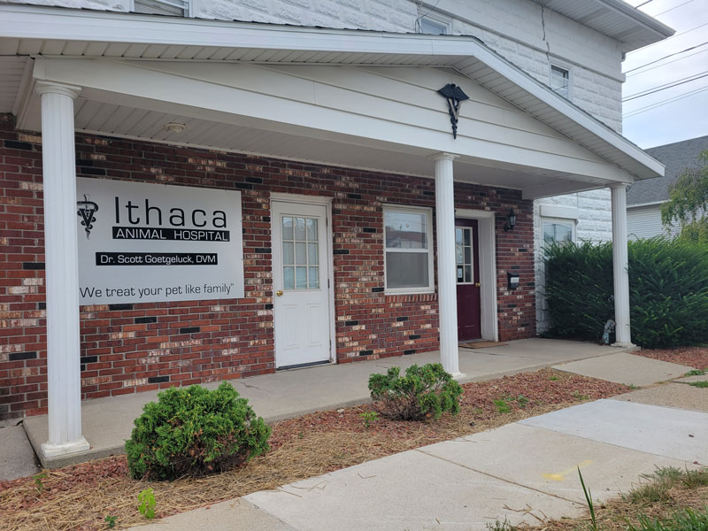 Ithaca Animal Hospital Front Entrance