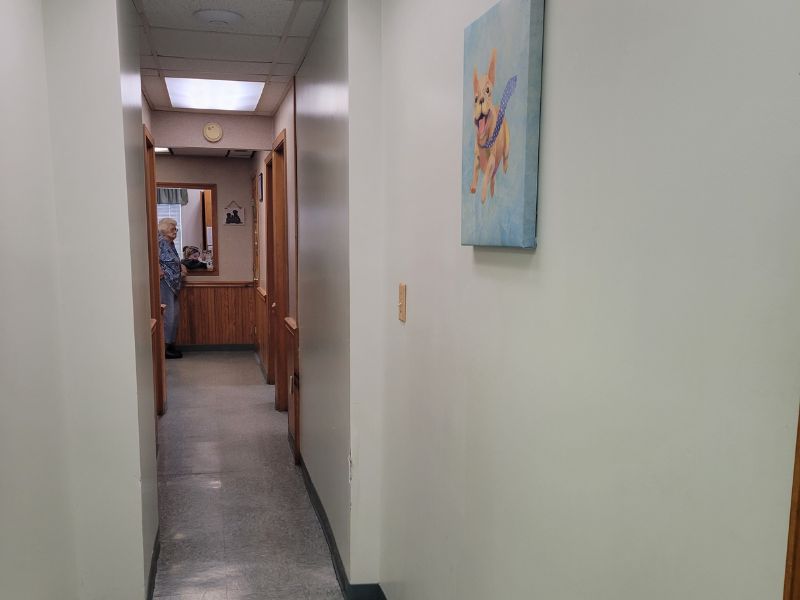 Ithaca Animal Hospital Hallway
